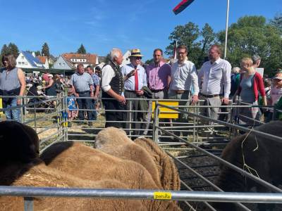 Prmienmarkt in Lauterbach 2022