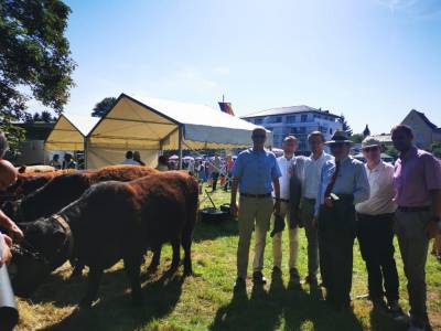 Prmienmarkt in Lauterbach 2022